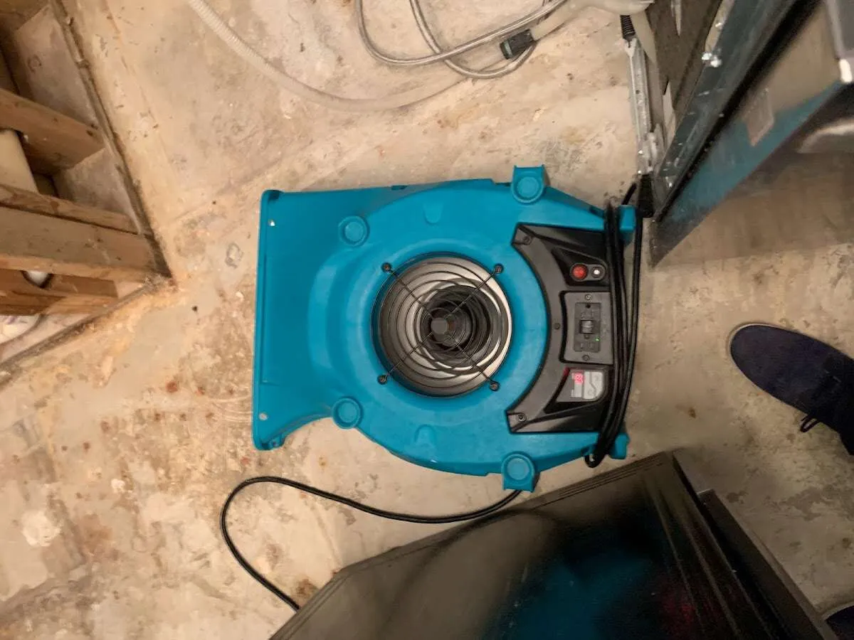 Air mover drying equipment for Mold Remediation & Removal in Peterborough